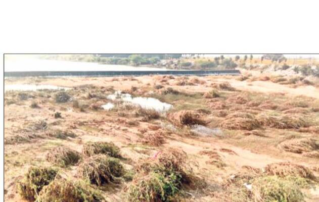 దందా ఆగేదెలా?1