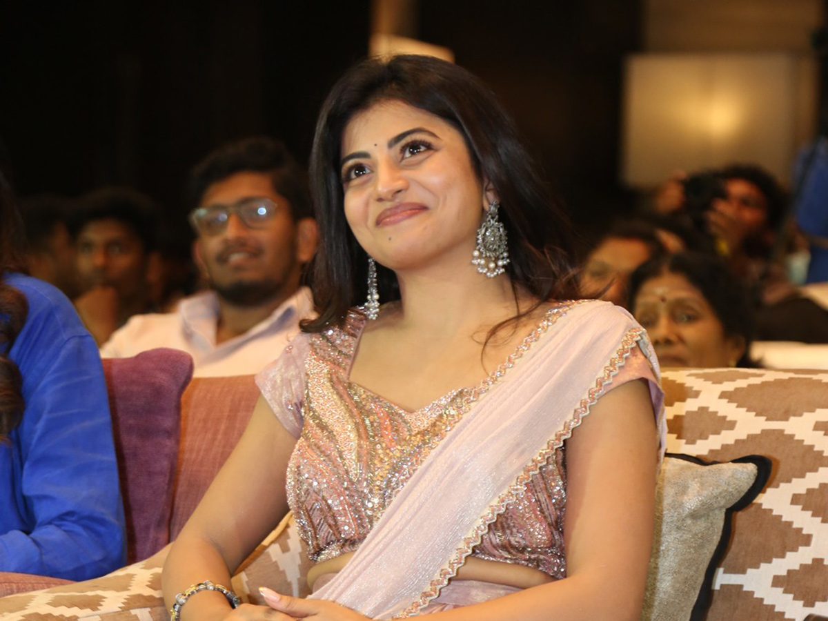Priyadarshi Premante Movie Pre Release Event Photos13
