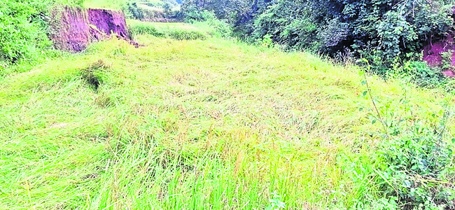 కాకిలెక్కలు 4