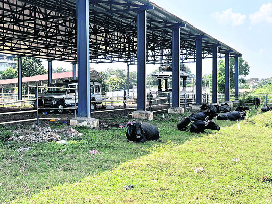 ●మిథిలా.. ఏమిటీ వ్యథ !1