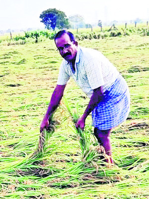 పరిహాసమేనా ?2