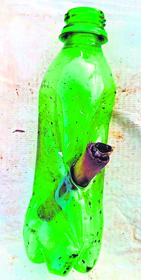 గంజాయి మత్తులో హల్‌చల్‌ 1