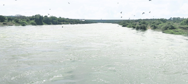 ‘నిజాంసాగర్‌’ మరో రికార్డ్‌!1