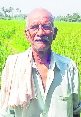 ఆదివారం శ్రీ 2 శ్రీ నవంబర్‌ శ్రీ 20255