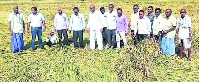 లింగ నిర్ధారణ నేరం1