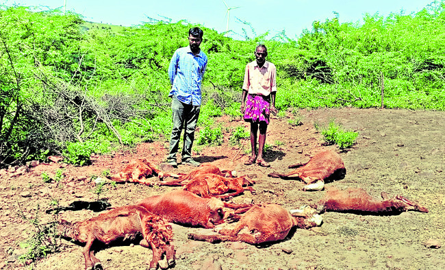 గుర్తు తెలియని వాహనం ఢీకొని ఇరువురికి గాయాలు   1