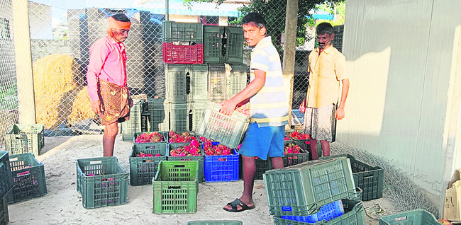ఇంటి వద్దే కోల్డ్‌ స్టోరేజీ2