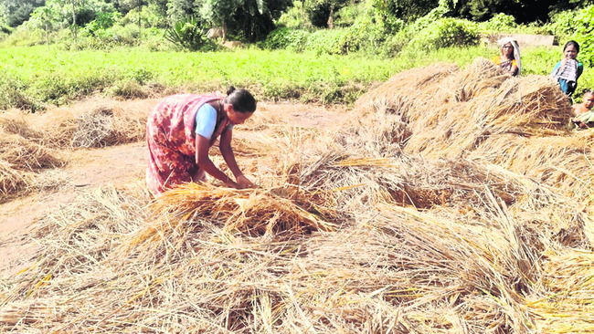 కాకిలెక్కలు 1