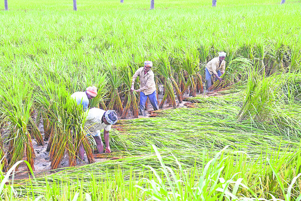 కన్నీరే మిగిలింది1