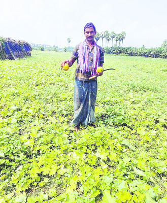 పూర్తిగా నష్టపోయా.. 
1