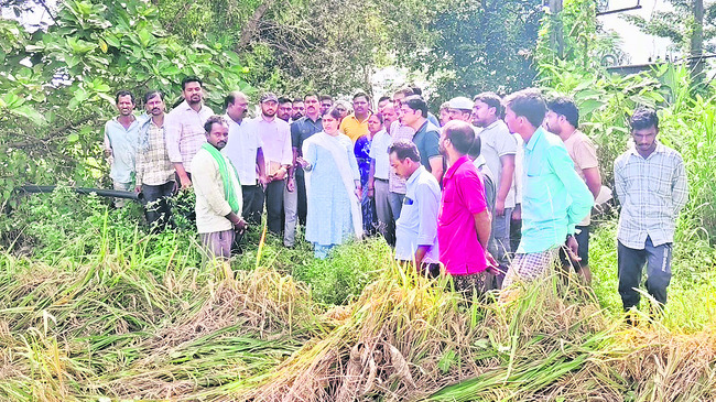 రైతులు ఆందోళనకు గురికావొద్దు1