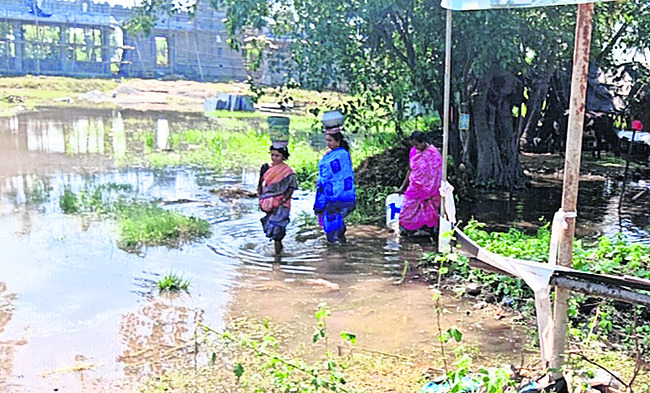 ముంపులో జగనన్న కాలనీ2