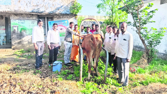 గాలికుంటు నివారణ టీకాలు వేయించాలి 1
