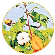 అప్రమత్తతే ఆయుధం2