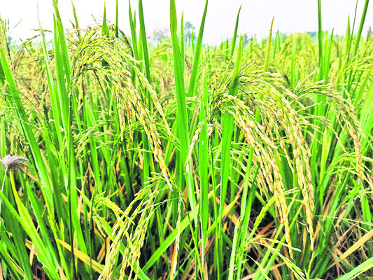 అప్రమత్తతే ఆయుధం7