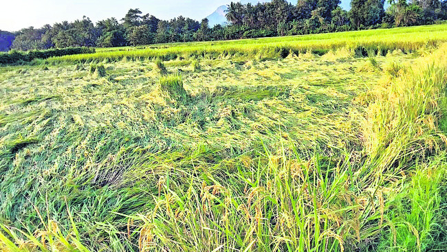 కన్నీటి వరద 1