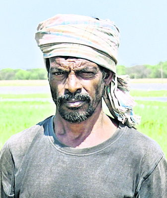 పైరు పోయింది.. కన్నీరు మిగిలింది3