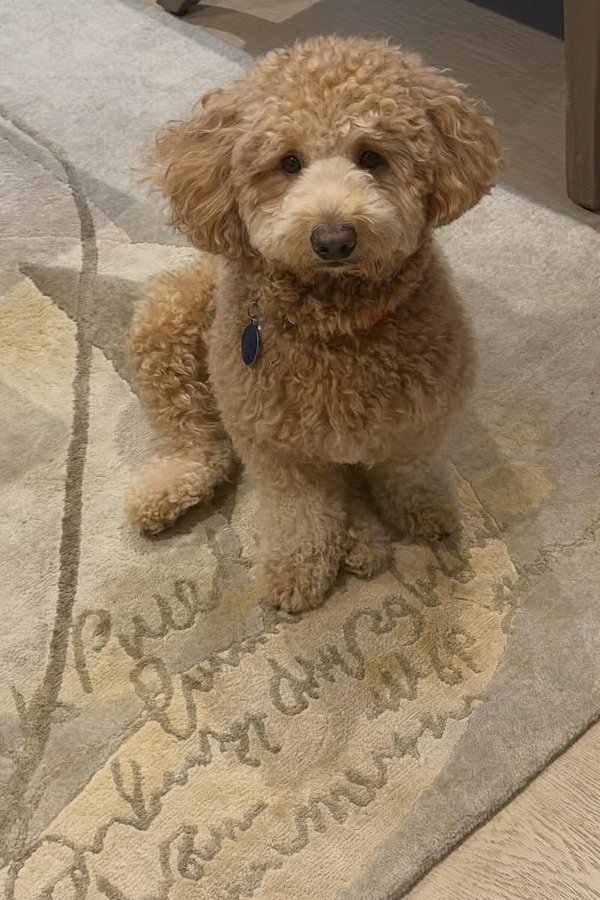 Actress Ananya Panday Birthday celebrations Photos15