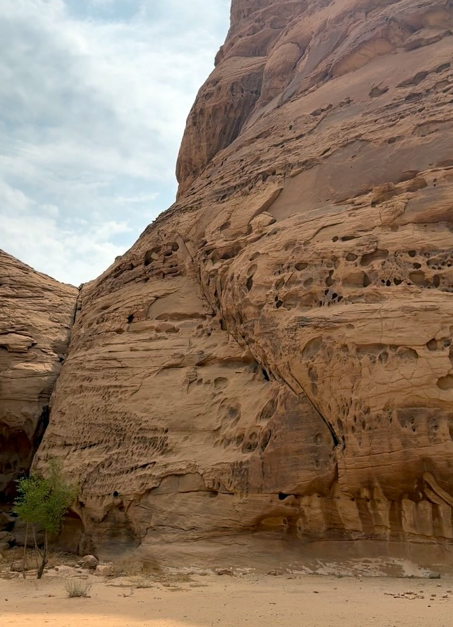 Sara Ali Khan in oasis city in desert country (photos)4