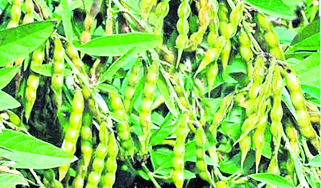 అప్రమత్తతే ఆయుధం6