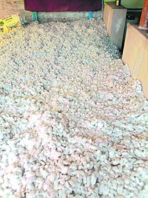 అక్రమాలకు నిలయాలుగా ‘ఉత్తుత్తి’ కొనుగోలు కేంద్రాలు1