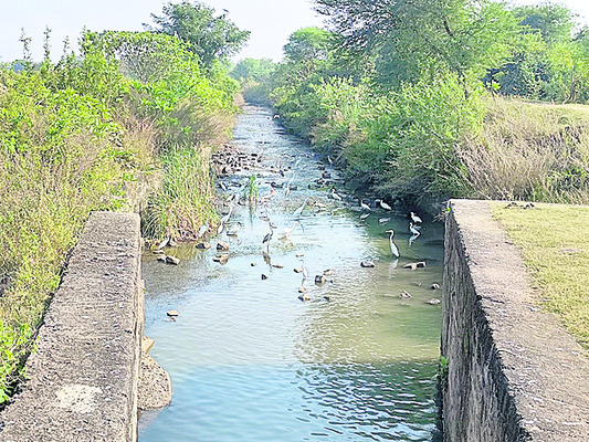 నిర్మల్‌1