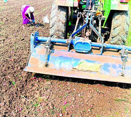 పుడమి తల్లి ‘ఉల్లి’కిపాటు 1