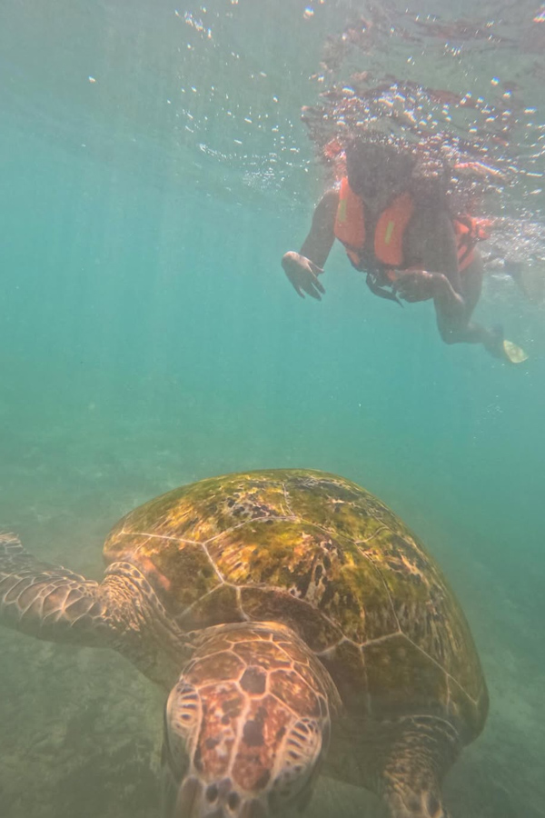 Amala Paul enjoying Her time In Sri Lanka with Her Husband Photos10