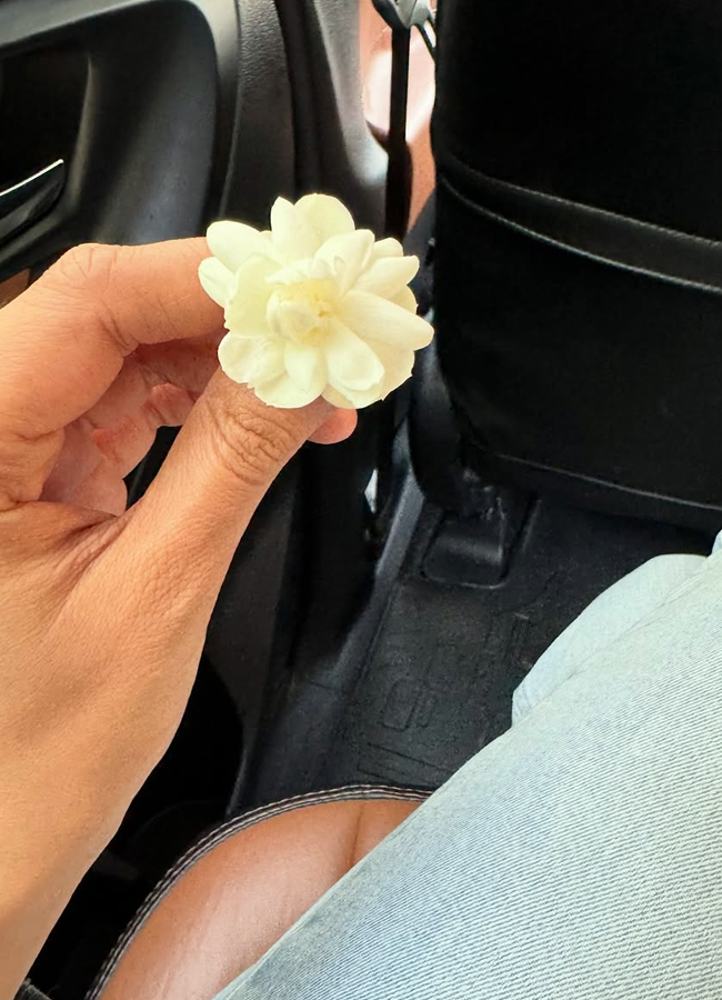 Sai Pallavi Sisters Enjoying Vacation (Photos)15