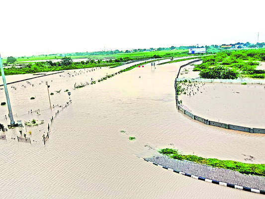 పల్నాడు1