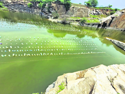 ముత్యాల సాగు.. లాభాలు బాగు 1