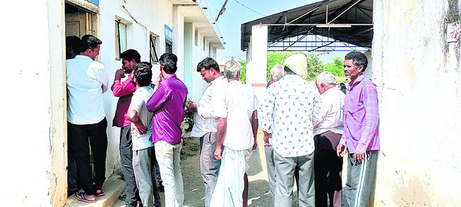 పొలాస విత్తనాలకు భలే గిరాకీ1