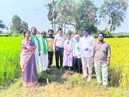 యాదగిరీశుడికి కలిసొచ్చిన కార్తీక మాసం1