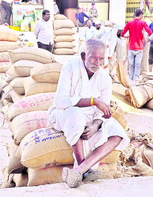 సోయా.. చూపరా దయ2