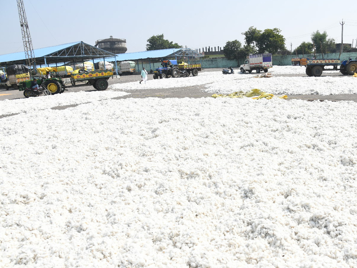 Best Photos of The Week in AP and Telangana Photo Gallery2