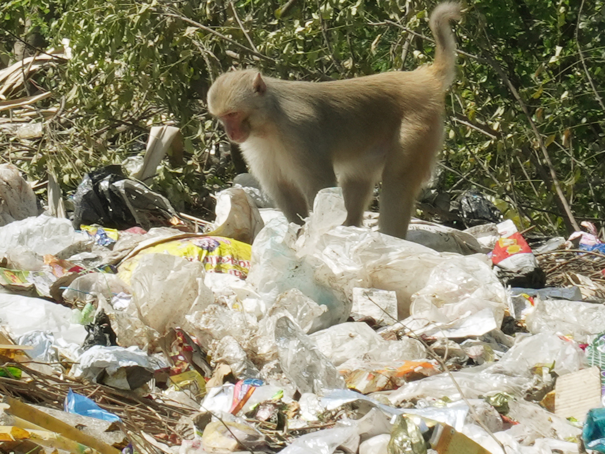 Best Photos of The Week in AP and Telangana Photo Gallery26