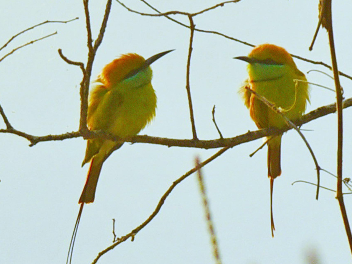 Best Photos of The Week in AP and Telangana Photo Gallery29