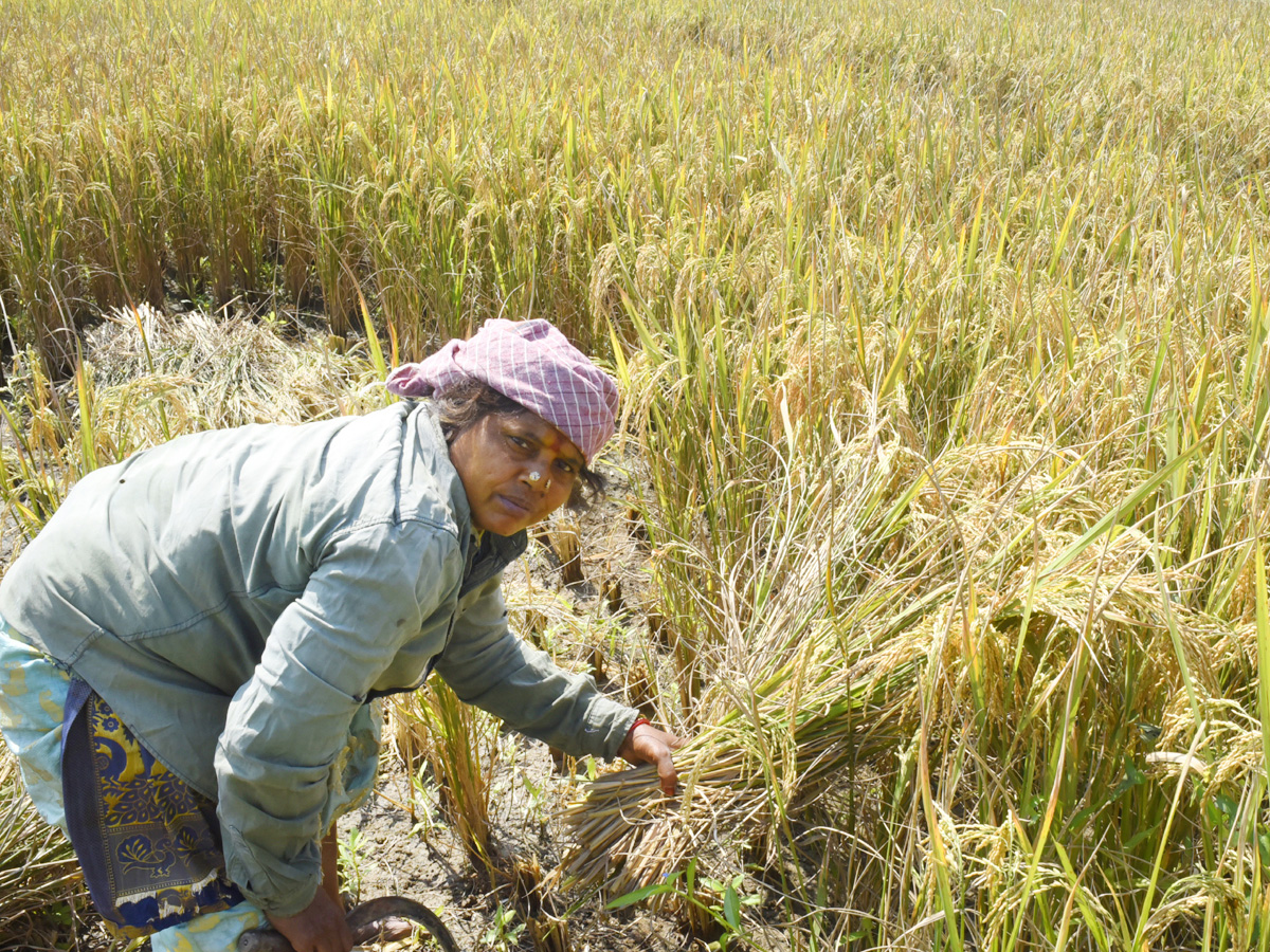 Best Photos of The Week in AP and Telangana Photo Gallery37