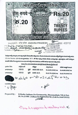 ఆక్రమణకు ‘పచ్చ’జెండా!2