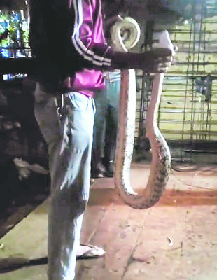 గురూజీ అనిల్‌కుమార్‌జోషికి డాక్టరేట్‌ 3