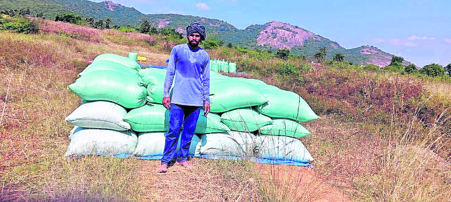 ప్రాధాన్యం లేక 1