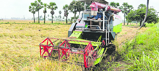 రైతులకు మద్దతు దక్కేనా? 2