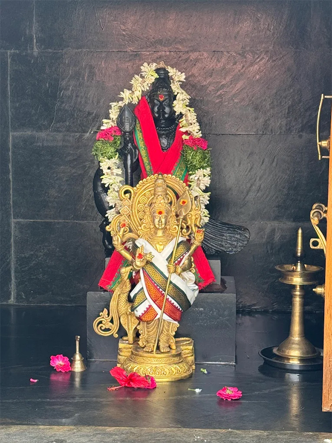 Ayyappa Swamy Temple Shankarpally Hyderabad Photos5