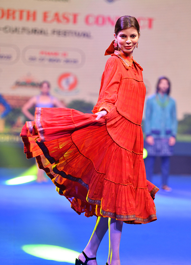 North East Connect Cultural Festival Photos27