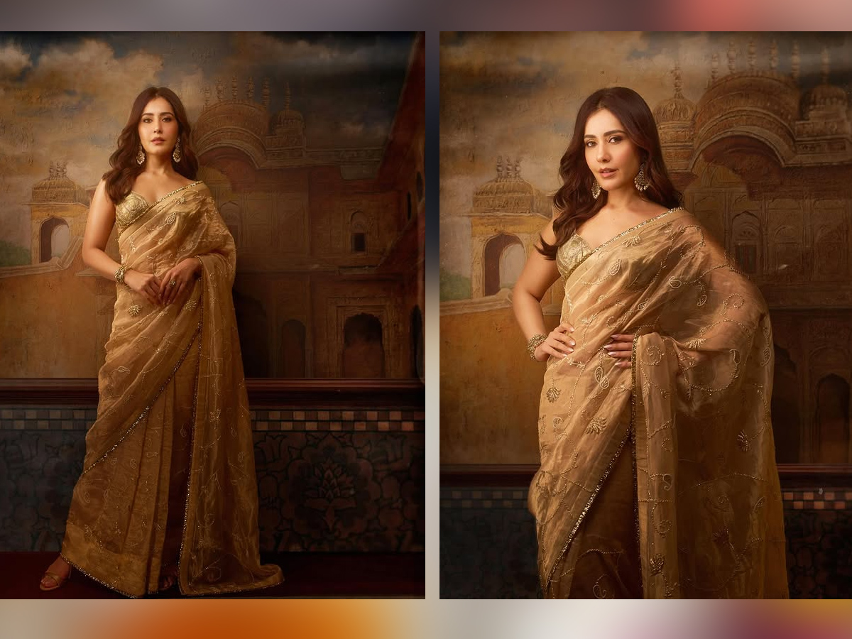 Raashi khanna looks mesmarizing in premium saree1