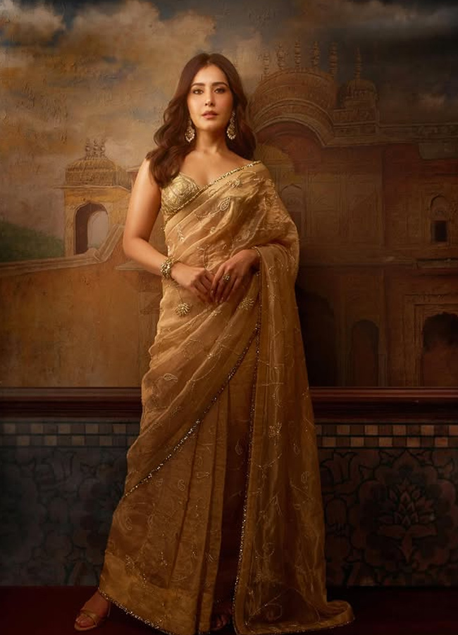 Raashi khanna looks mesmarizing in premium saree2