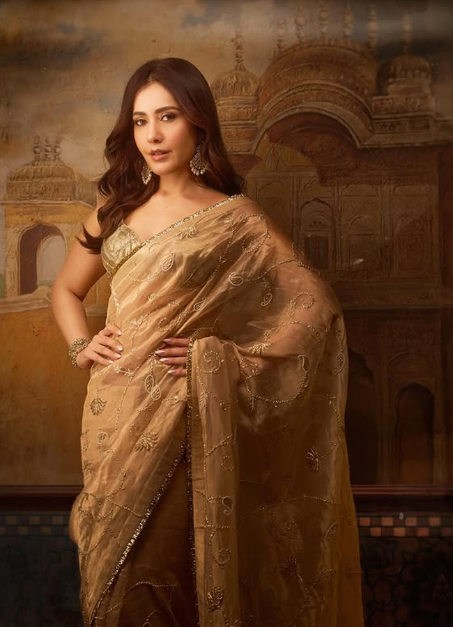 Raashi khanna looks mesmarizing in premium saree4