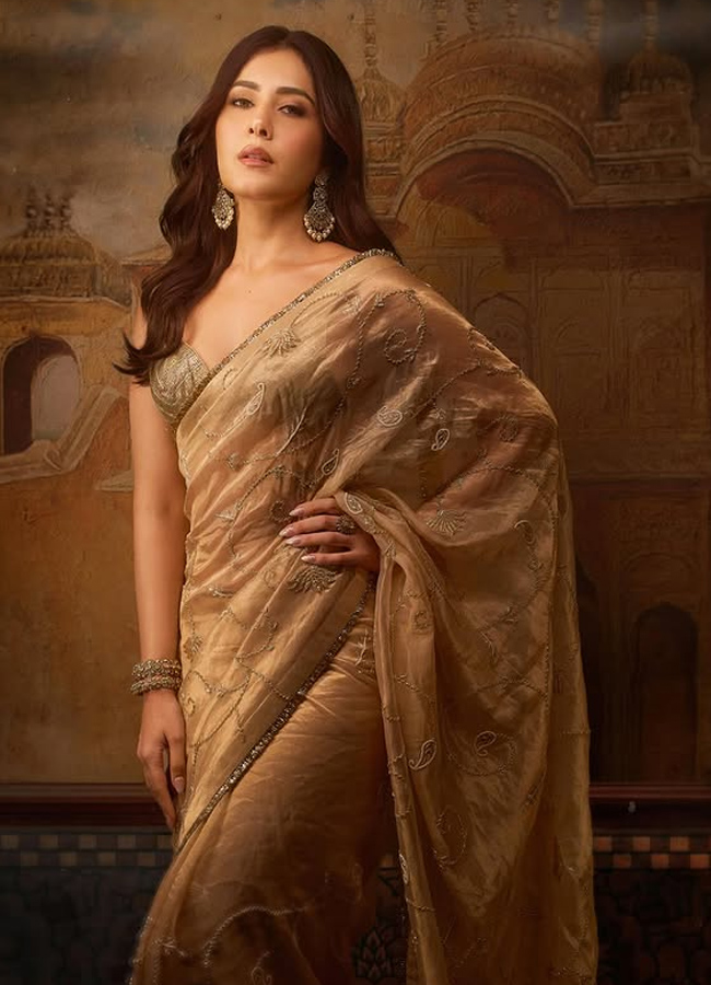 Raashi khanna looks mesmarizing in premium saree6