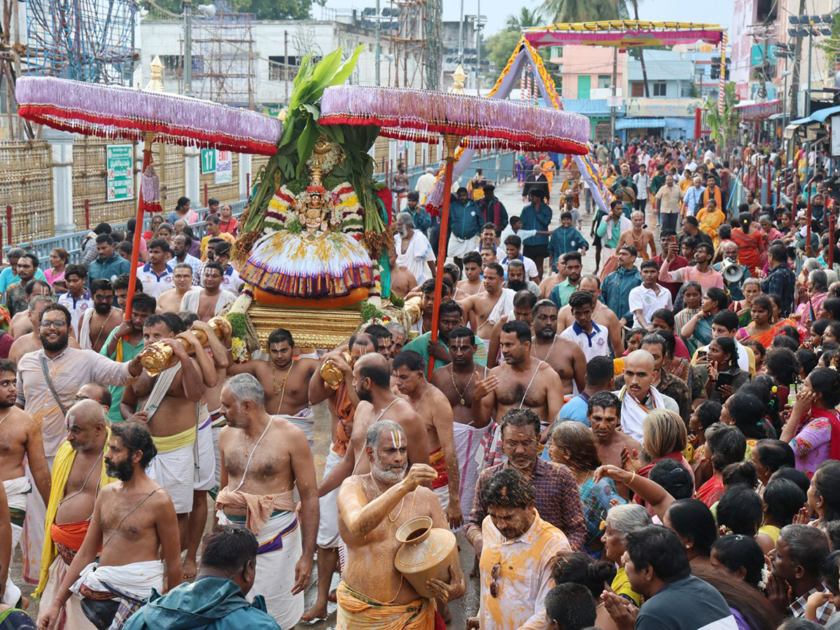 Tiruchanoor Padmavathi Brahmotsavam 2025 Photos11