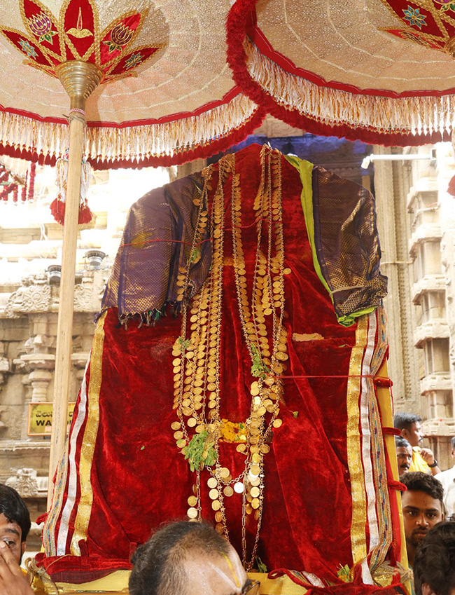 Tiruchanoor Padmavathi Brahmotsavam 2025 Photos21